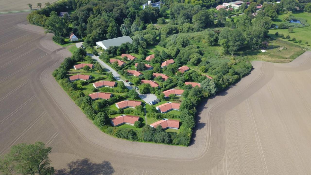 Kranich Poolferienhaus Villa Hohendorf  Exterior foto
